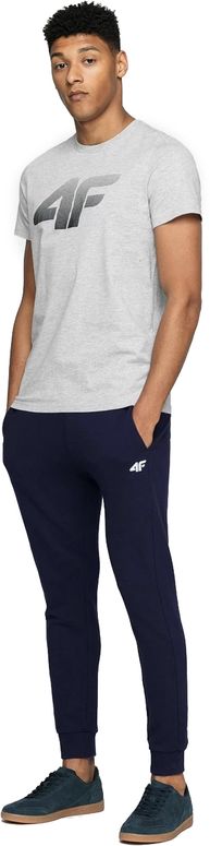 Штани 4F MEN'S TROUSERS SPMD001B чоловічі - 2