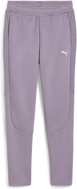 Брюки Puma EVOSTRIPE PANTS OP женские - 1
