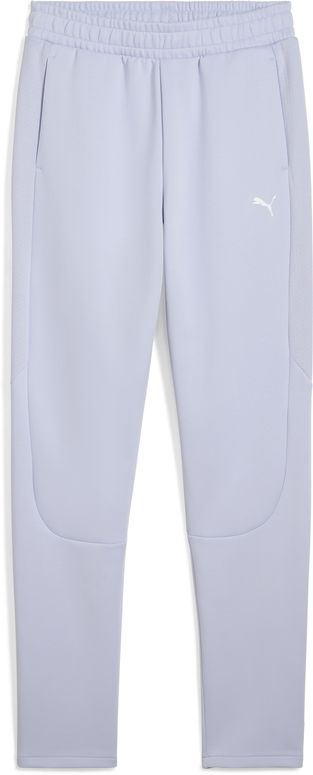 Брюки Puma EVOSTRIPE Sweatpants DK op женские - 1
