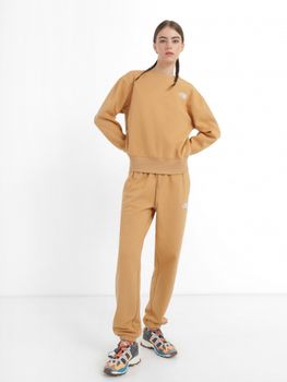 Брюки THE NORTH FACE W ESSENTIAL JOGGER женские - 3
