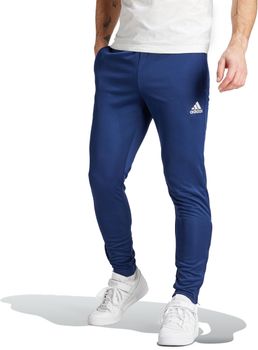 Штани Adidas ENT22 TR PNT чоловічі - фото