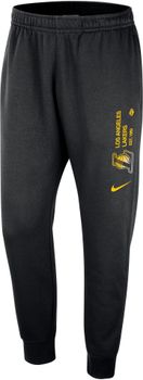 Штани Nike LAL MNK CLUB JGGR CTS чоловічі - фото