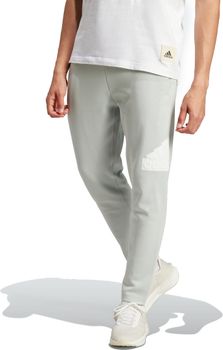 Штани Adidas M FI BOS PT чоловічі - 3