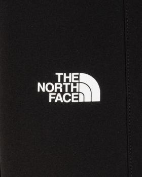 Брюки THE NORTH FACE W ARASHI WINTER PANT женские - 3
