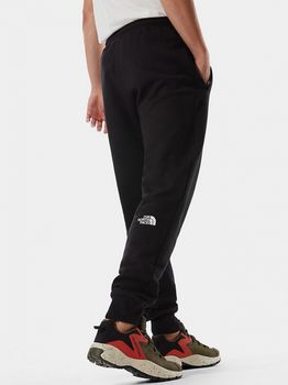 Штани THE NORTH FACE M NSE PANT чоловічі - 2