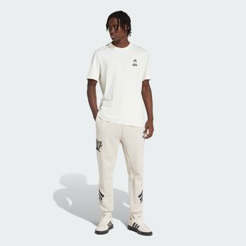 Штани Adidas M SW TM SWTPNTS чоловічі - 6